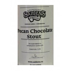 Salden'S Pecan chocolate stout